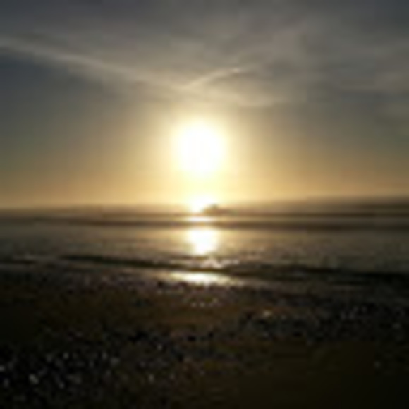 Meet your Posher, Natalia - Picture 1 of 1